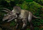 play Game2Rule Jurassic Land Escape