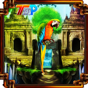 play Rescue Parrot From Curse