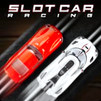 play Slot Car Racing