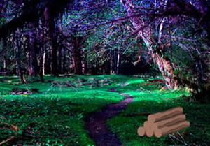 play National Enchanted Forest Escape