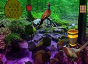 play Pheasant Forest Escape