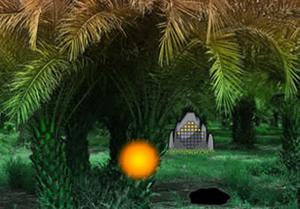 play Palm Tree Forest Escape