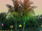 play Palm Tree Forest Escape