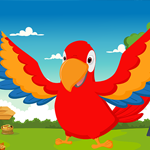 play Macaw Bird Escape From Cage