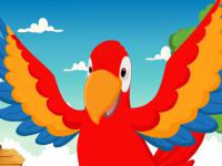 play Macaw Bird Escape From Cage