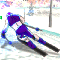 Ski Slalom