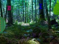 play Spirited Fantasy Forest Escape