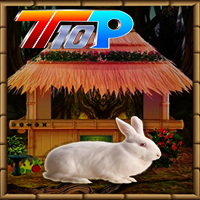 play Top10 Rescue The Cute Rabbit