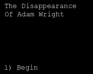 play The Disappearance Of Adam Wright