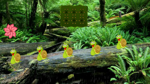 play G2R Great Rainforest Escape