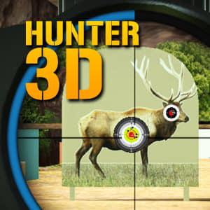 play Hunter 3D