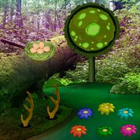 play Forest Habitat Escape