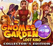 play Gnomes Garden: Lost King Collector'S Edition