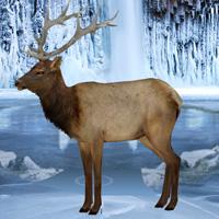 play Frozen Land Elk Rescue