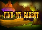 play Find My Carrot