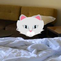 play Hiddenogames Pick And Place Escape-Kitty