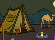play Camel Rescue From Desert