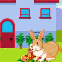play Escape The Rabbit