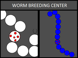 Worm Breeding Center