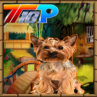 play Top10 Rescue The Cute Puppy