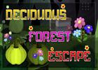 play Deciduous Forest Escape