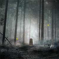 play Mysterious-Foggy-Forest-Escape-Freeroomescape