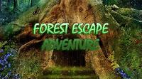 play 365 Forest Escape Adventure