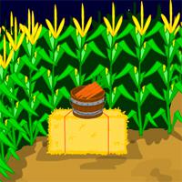 play Mousecity Escape Crazy Corn Maze