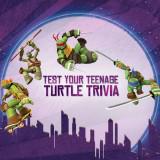 play Test Your Teenage Turtle Trivia