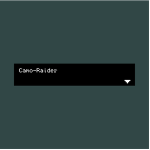 play Camo-Raider