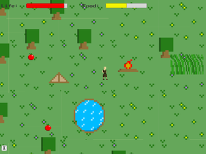 play Survivor 2D Game