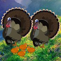 Thanksgiving Mom Turkey Escape