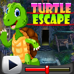 play Turtle Escape