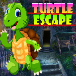 Turtle Escape