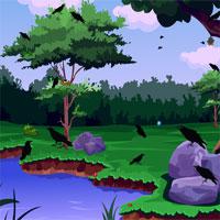play Escape-From-Crow-Forest