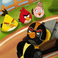 play Angry-Birds-Racers-Hidden-Stars