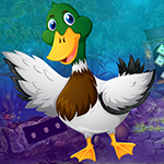 play Mallard Duck Rescue