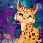 play Kitten Escape Game