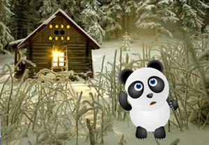 Panda Snow Forest Escape