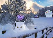 Magical Snow Animal Escape