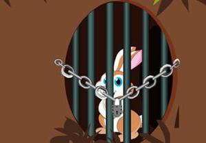 play Rabbit Escape (Avm Games