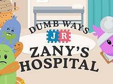 play Dumb Ways Jr Zanys Hospital