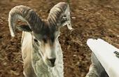 play Crazy Goat Hunter