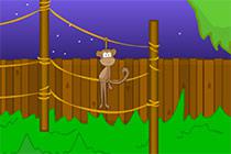 play Toon Escape Zoo