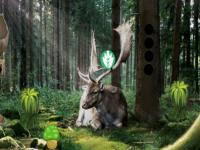 play Pine Forest Escape