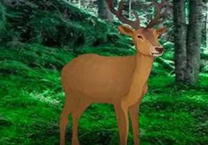 play Save The Wounded Deer