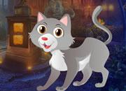 play Chase Cat Rescue