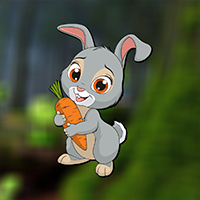 Little Funny Rabbit Rescue