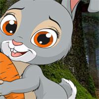 play Little Funny Rabbit Rescue