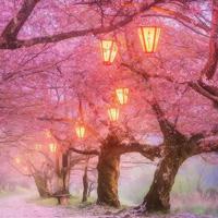 play Cherry Blossom Forest Escape